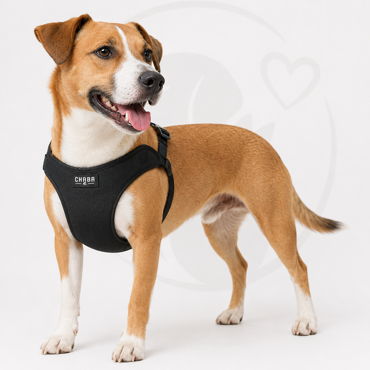 Szelki Comfort L — zdjęcie 2