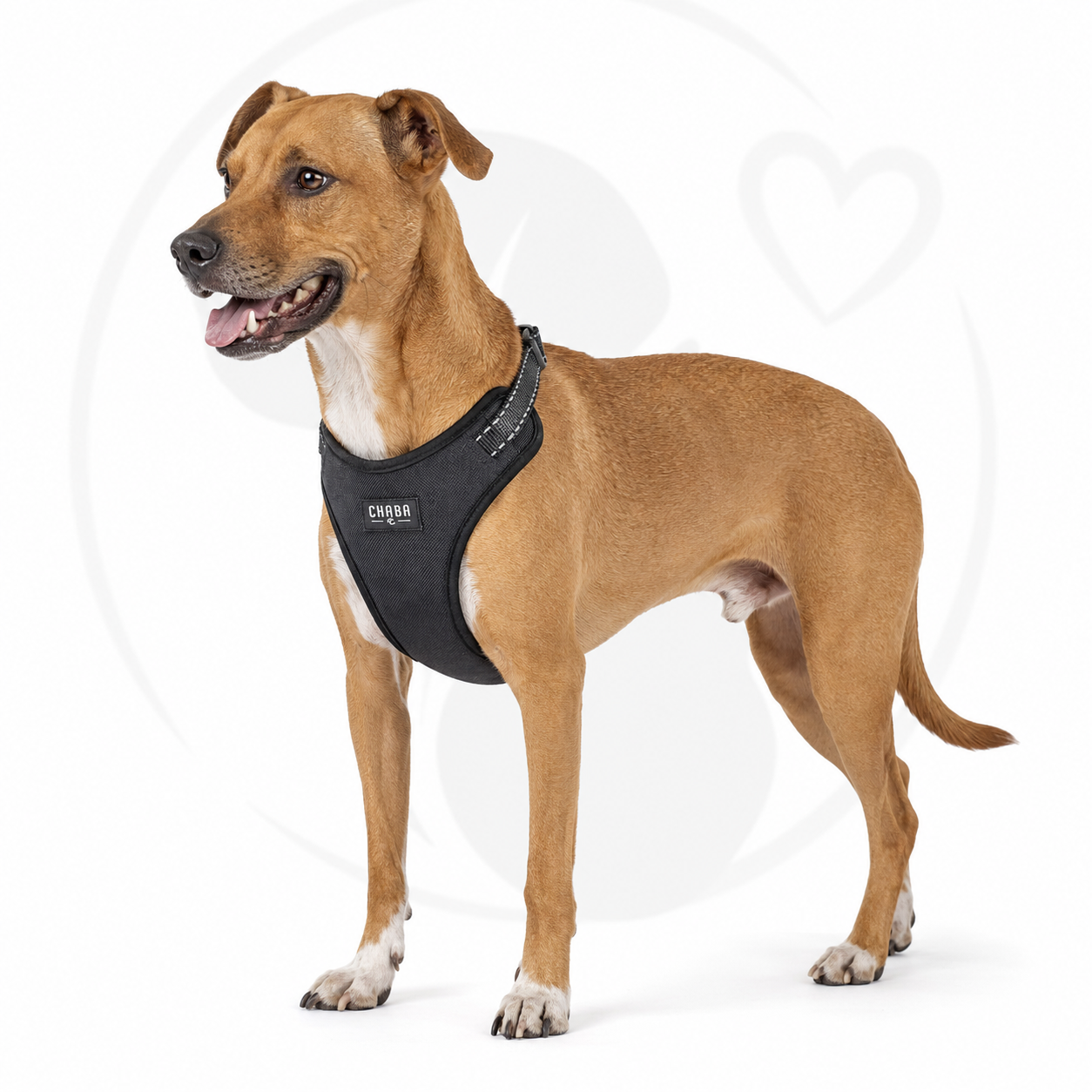 Szelki GUARD COMFORT Classic M — zdjęcie 2